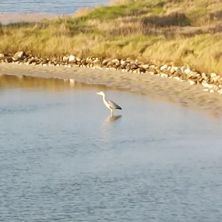 La Bosse Xl - - Dependance By Interhome L'Épine