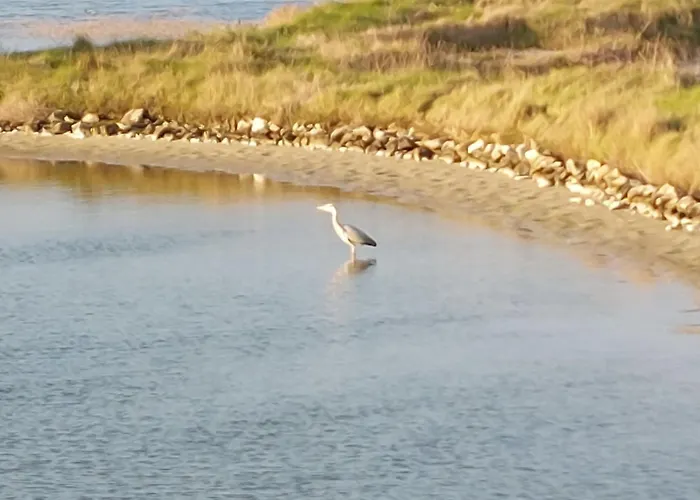 La Bosse Xl - - Dependance By Interhome L'Epine (Vendee)